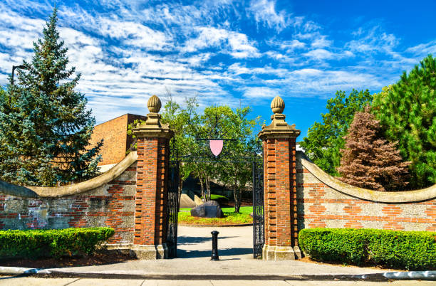 portão de entrada para a universidade de harvard em boston, estados unidos - universidade de harvard - fotografias e filmes do acervo