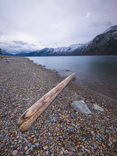 A long water soaked log lays on the shoreline of Pend Oreille Lake at Farragut State Park in north Idaho.