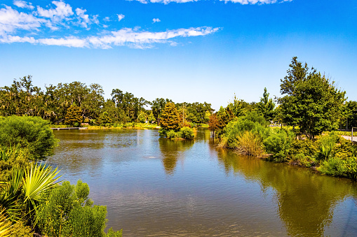 The magnificent City Park with wonderful quiet lake. One of the largest parks in the USA. Slender palm trees decorate the park alleys. New Orleans.