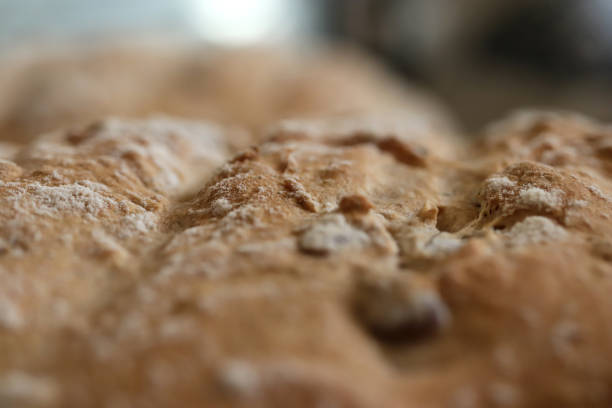 artisan wholegrain bread