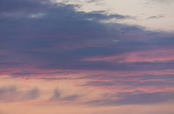Pink blue clouds at sunset as background.