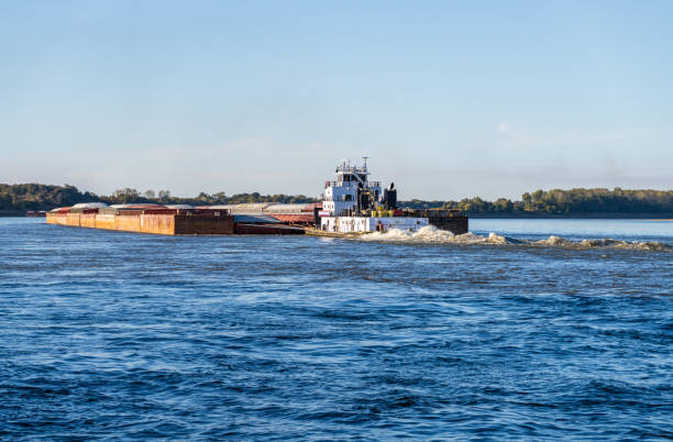 Freight barges moving over the calm waters of the Mississippi river during low water conditions