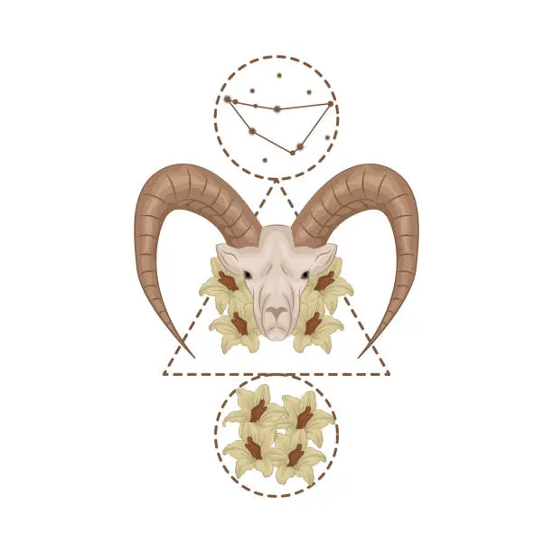 Vector illustration of Capricorn