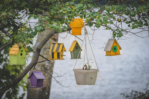 Colorful birdhouses hang from a tree near water on a cloudy day