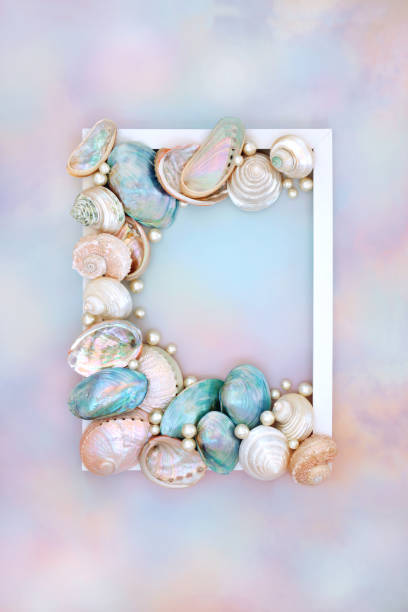 istock Sea Shell and Pearl Abstract Summer Background Frame 2063487735