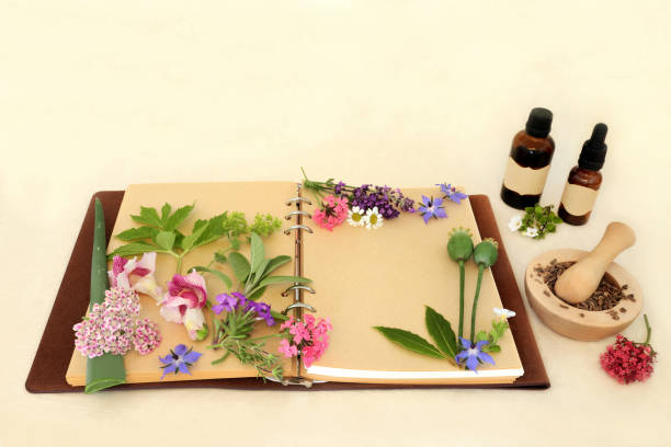 istock Preparing Aromatherapy Essential Oil with Herbs and Flowers 2063488153