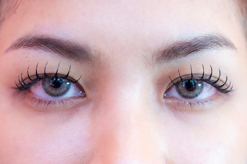 Eyelash Extension Procedure. Woman Eye with Long Eyelashes. Lashes. Close up, macro, selective focus