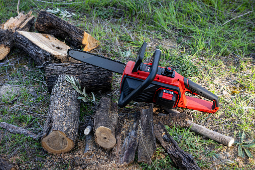 A chainsaw standing on a pile of firewood. Cutting wood with a powered electric saw.