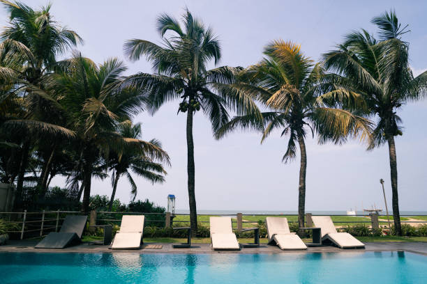 A tranquil scene of a pool surrounded by palm trees at Negombo Hotel in Sri Lanka on a sunny, hot day. The clear blue water beckons for a refreshing swim, while comfortable lounge chairs invite guests to relax poolside