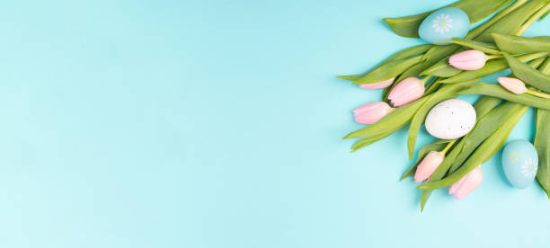 istock Nest with small eggs and pink tulips, easter holiday greeting card, spring season 2063571586