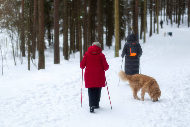 Syktyvkar, Komi Republic, Russia.March 3 , 2024,Nordic walking.Elderly women walking in the winter park.