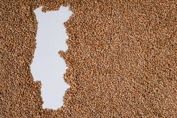 Map of Portugal filled with wheat grain. Copy space.