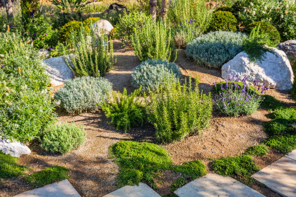 istock Backyard with fantastic landscaping, patio, drought resistant plants 2063593487