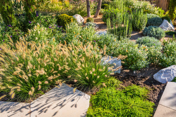 istock Backyard with fantastic landscaping, patio, drought resistant plants 2063593521
