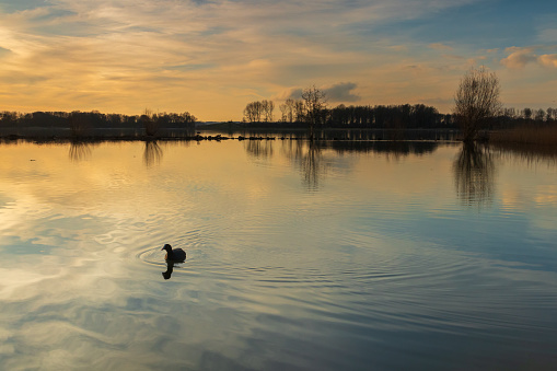 Sunset at the lake landscape