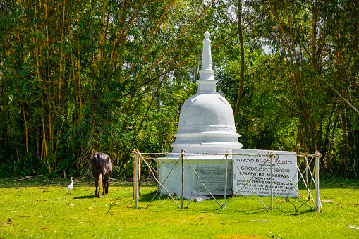 Kalutara, Sri Lanka 09 february .2023small white traditional Sri Lankan stupa stands on green grass against a background of tall bushes and trees