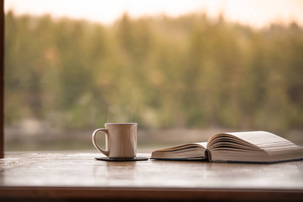 istock Relaxing morning with book and cup of tea. 2063658704
