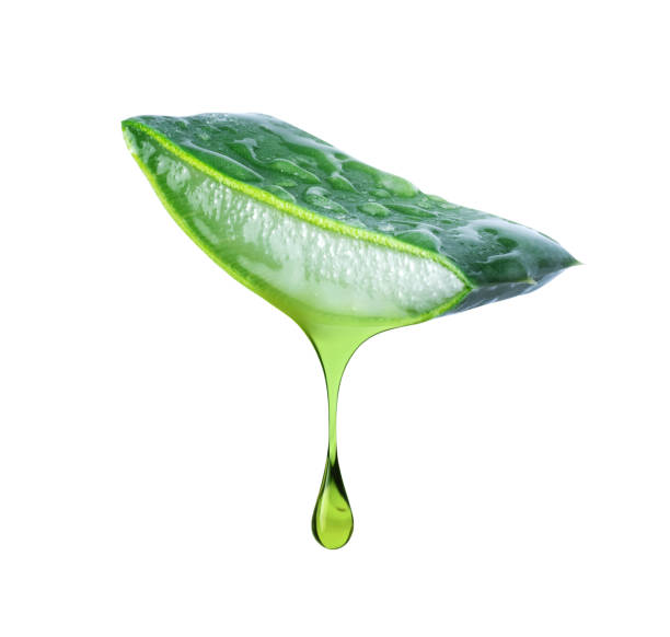istock Cut slice of aloe vera stem with dripping drop close up isolated on a white background 2063662399