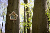 Little chapel on the tree in forest