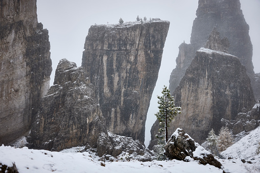 Fog Hangs in the Valley Below the Granite Walls of Yosemite in winter