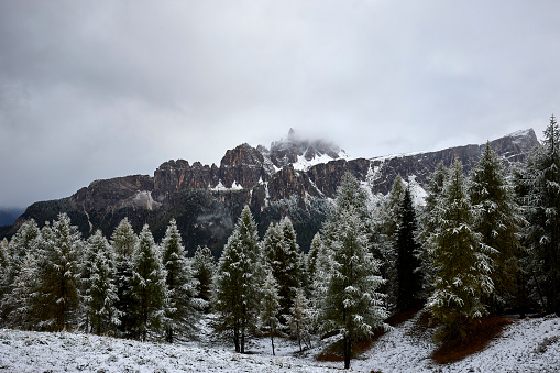 Trees and mountains Dolomites, Italy on a grey autunm day