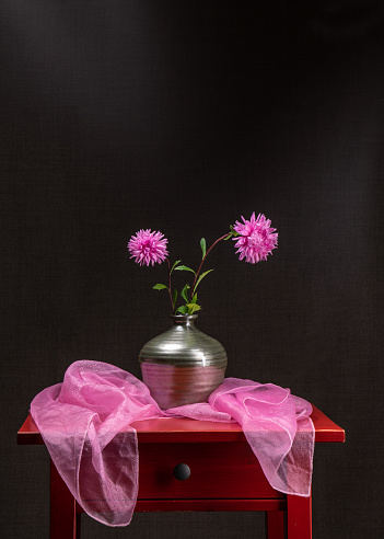 Two pink asters in a gray clay vase on a red wooden table. Next to it is a light pink, airy handkerchief. Dark gray background. Postcard for the holiday. Delicate still life.