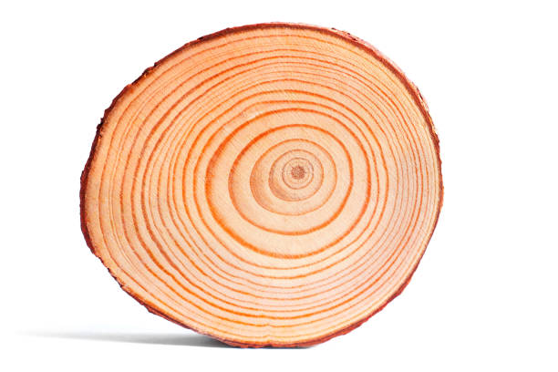 round wood textured background for decoration