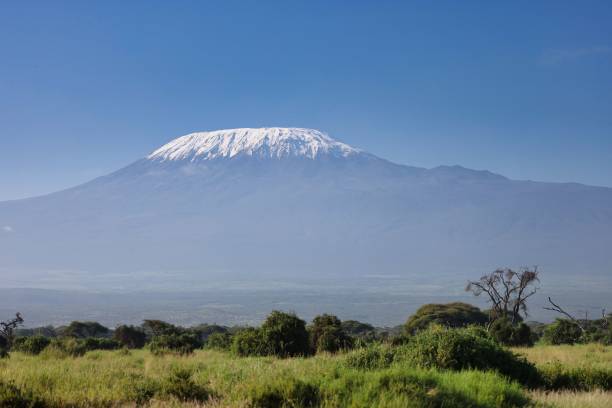 istock Mt Kilimanjaro seen from Amboseli National Park 2063720954
