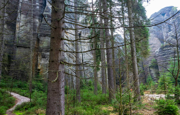 rock town in Adrspach, Czech Republic