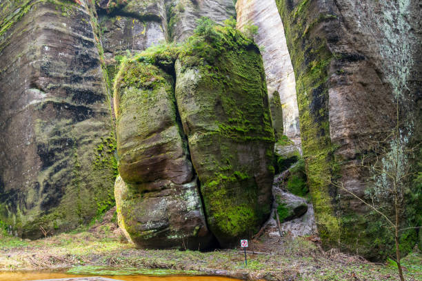 istock rock town in Adrspach, Czech Republic 2063726126
