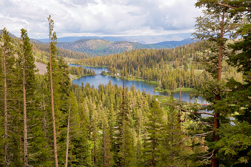 Mammoth Lakes landscape with mountains, lakes and spruce forest - California - USA