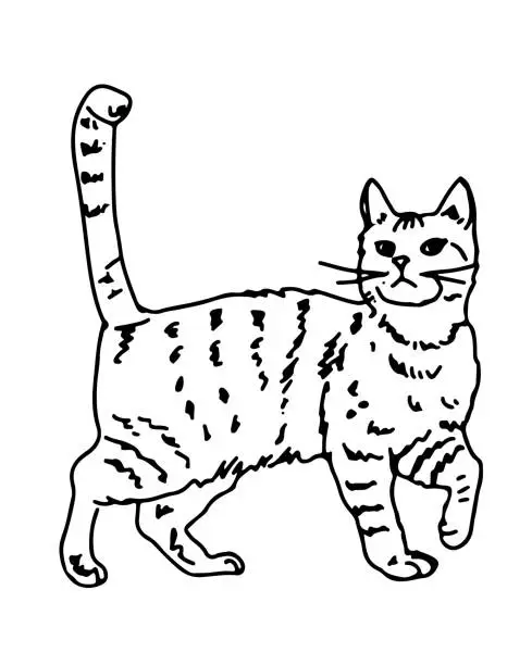 Vector illustration of Walking Cat