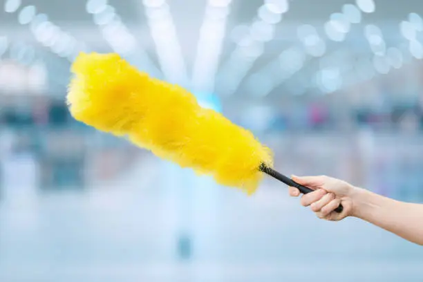 Photo of A hand shows a cleaning brush against a blurred background.