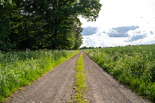 footpath rural warwickshire countryside uk summer grassland