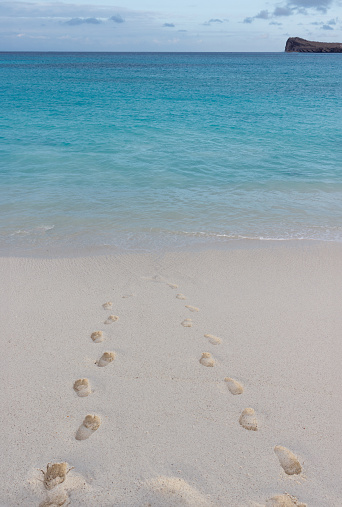 Footprints in white sand beach leading into turquoise blue ocean water. Beach holiday relax theme.