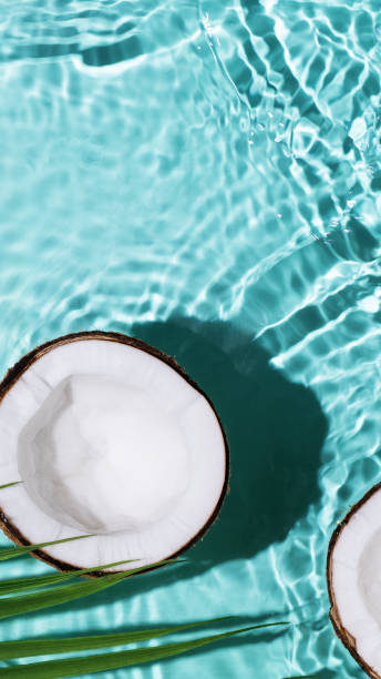 Summer background with coconuts on water background with water splashes.