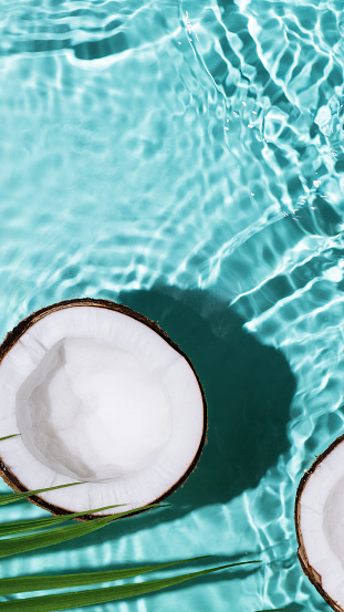 Summer background with coconuts on water background with water splashes. Creative summer background for design. Coconut cosmetics.