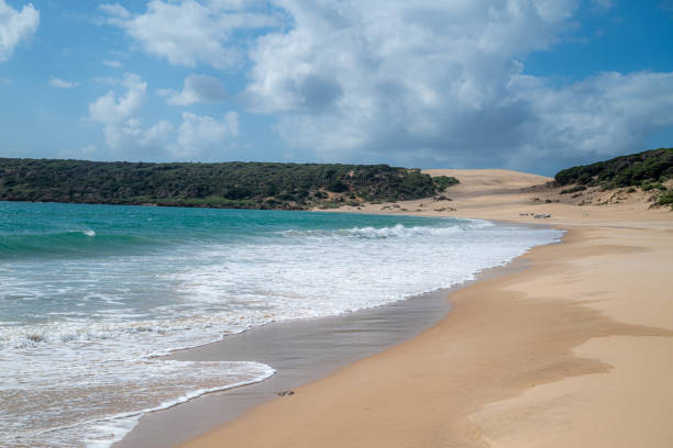 istock Sunny Day at a Peaceful Beach with Clear Blue Skies and Gentle Waves 2063870543