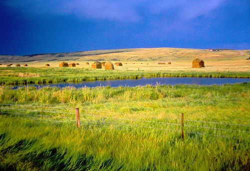 The Alberta prairie in 1998 on old camera film.