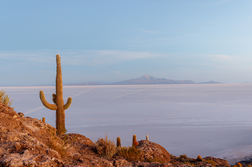 Salt flat and desert of uyuni with mountain landscape Bolivia Uyuni.