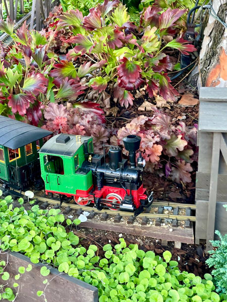 istock Electric toy train railway through the vegetable garden 2063921757
