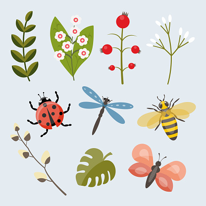 Vector Spring set of cute insects and plant branches Illustration for postcard stickers