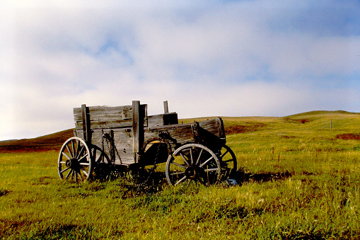 The Cypress Hills in Saskatchewan prairie in 1998 on old camera film.