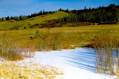 The Cypress Hills in Saskatchewan prairie in 1998 on old camera film.