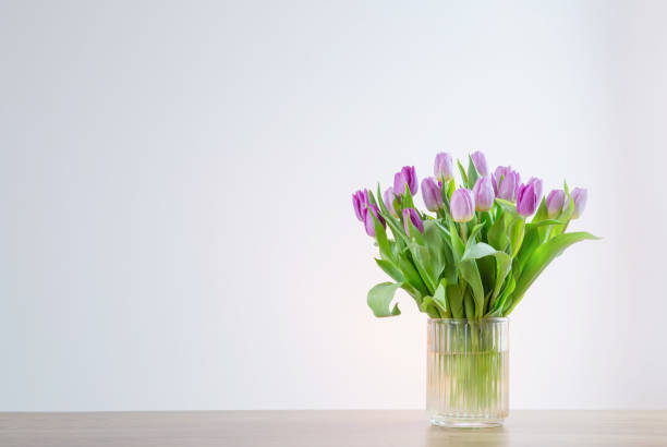 istock pink tulips in glass vase on white background 2063965854