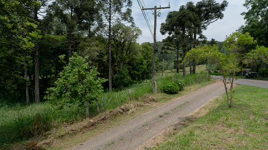 Road in a rural neighborhood with a large amount of native Brazilian vegetation