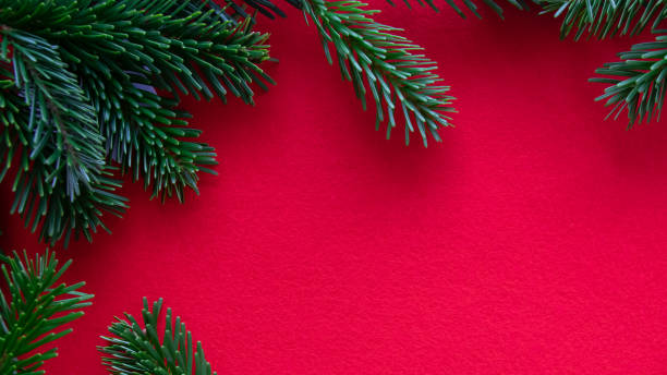 istock Winter red background with branch, needle of Christmas tree. 2064010364