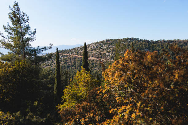 Hymettus mountain landscape, hiking in Athens, Hymettos mountain range panoramic beautiful view, Attica, Greece, in a summer sunny day, with Kaisariani aesthetic forest