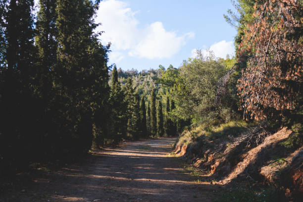 istock Hymettus mountain landscape, hiking in Athens, Hymettos mountain range panoramic beautiful view, Attica, Greece, in a summer sunny day, with Kaisariani aesthetic forest 2064111086