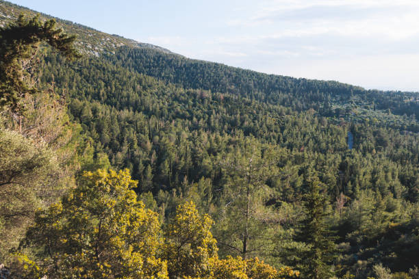 istock Hymettus mountain landscape, hiking in Athens, Hymettos mountain range panoramic beautiful view, Attica, Greece, in a summer sunny day, with Kaisariani aesthetic forest 2064117838